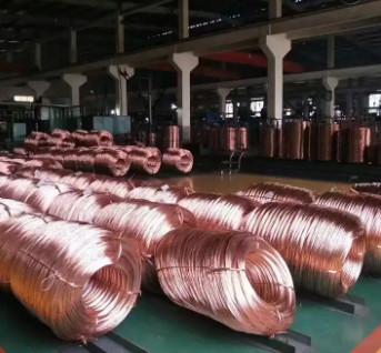 China 12 mm hochgeschminktes Kupferdraht zu verkaufen