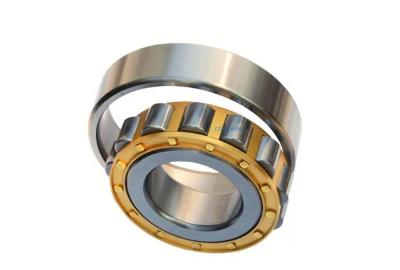 China Double Ribbed Inner Ring Cylindrical Roller Bearings NP RIP RP Type for sale