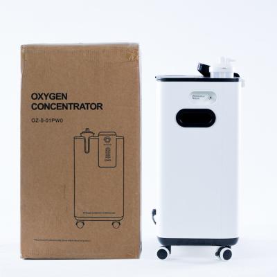 China 170kpa Large Flow Oxygen Generator 60dB 5l O2 Concentrator for sale
