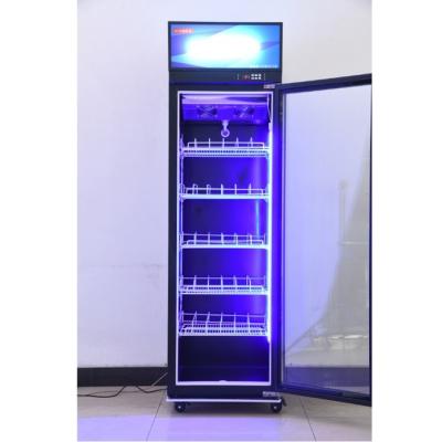 China Showcase Commercial Glass Door Beverage Cooler Display Freezer 480L for sale