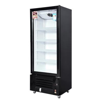 China 588 litros puerta única refrigeración vertical lujoso refrigerador de bebidas frías con puerta de vidrio en venta