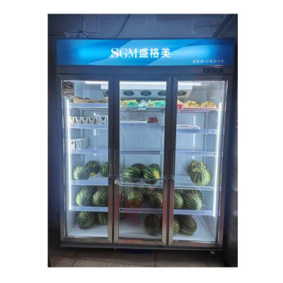 China Vegetables Fruit Display Cooler Refrigerator Commercial 1333L for sale