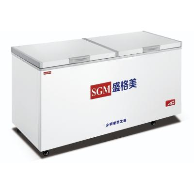 China Ice Cream Island Chest Freezer Powerful 220V Ice Chest Cooler for sale
