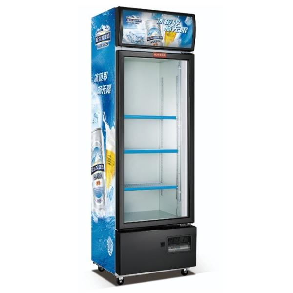 Quality Tall Commercial Single Door Upright Display Freezer 270L Sleek Design for sale