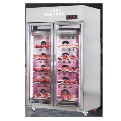 China Tiempo de cocina Gabinete de descongelación Alimentación personalizada Acero inoxidable en venta