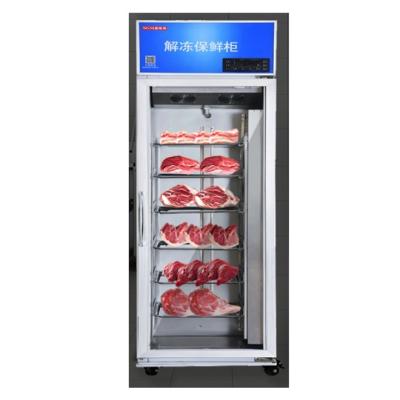 중국 식품 녹기 캐비닛 상업용 고기 단일 문 녹기 캐비닛 판매용