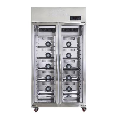 China Beef Thawing Cabinet Defrosting Compartment Custom Power Supply for sale