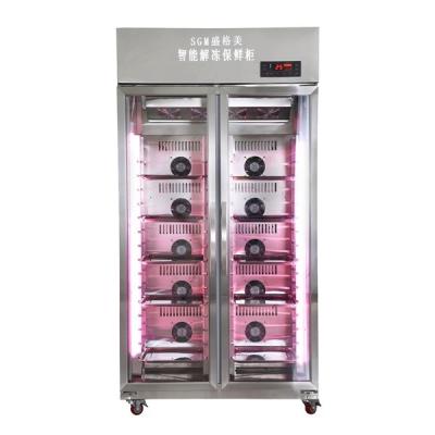 China Two Doors Thawing Cabinet Process adjustable temperature control for sale