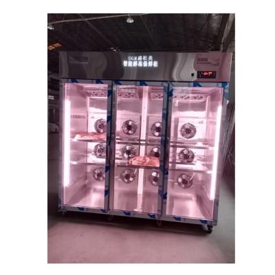 China Meat Thawing Cabinet Stainless Steel Automatic Defrosting Cabinet for sale
