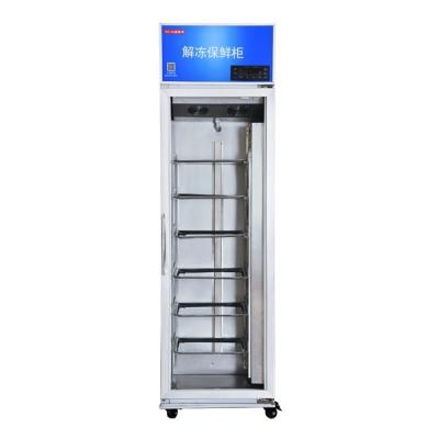 China Rapid Thawing Chamber Cabinet Frost Dissolving Frozen Meat Stainless Steel for sale
