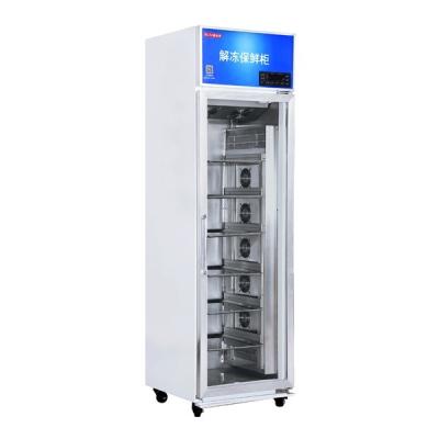 중국 지능형 녹기 캐비닛 전시 고기 녹음 냉동 식품 판매용