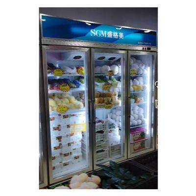 China Frigorífico de frutas y verduras personalizado con luz LED en venta