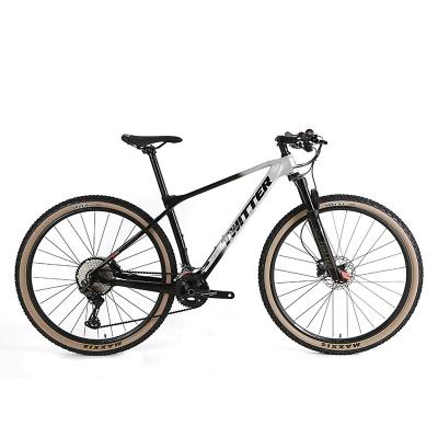 China 29 Inch Carbon Fiber MTB Bike Bicycle SHIMANO XT 24S Hydraulic Brake for sale