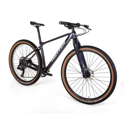 China TWITTER T800 Carbon Fiber Mountain Bike SX-12 Speed Groupset hydraulic disc brake for sale