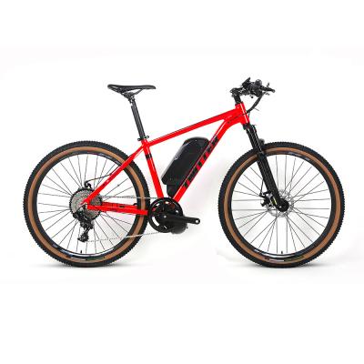 China Single Speed Alloy Frame Mountain Bike 48V Lithium Battery Electric 750W Mid Motor for sale
