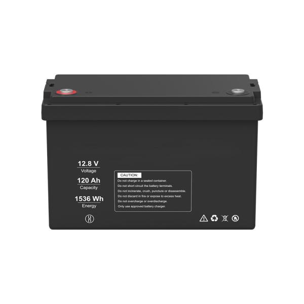 Quality Lightweight 12V LiFePO4 Lithium Battery Deep Cycle 100A 1536Wh for sale