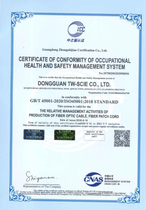 GB/TISO45001:2018 STANDARD - DONGGUAN TW-SCIE CO., LTD.
