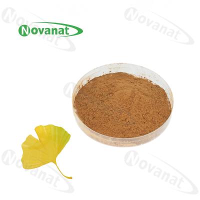 China 100% Nature Gingko Biloba Leaf Extract Powder/USP/E.P/CP15/Dietary Supplements Ingredients for sale