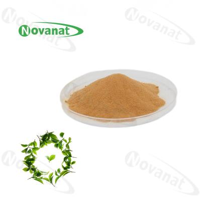 China 100% Natural Extract Green Tea L-Theanine 20% / 30% / 40% Natural L-Theanine for sale