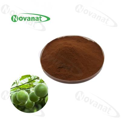China Luo Han Guo Extract 2/1/Mönch Fruit Extract Powder Mogrosides V 25%/50%/natürlicher Süßstoff zu verkaufen