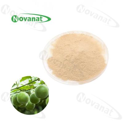 China Water Soluble Monk Fruit Extract Powder 25% Mogroside V / Natural Sweetener / Clean Label for sale