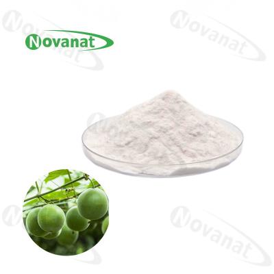 China Monk Fruit Extract Powder 50% Mogroside V/Water Soluble/ Natural Sweetener/ Clean Label for sale