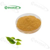 中国 ツバキのSinensisの即刻の緑茶の粉のエキス20% -50%のポリフェノール/食糧飲料 販売のため