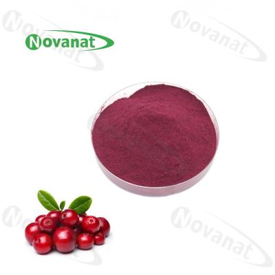 China 25% Anthocyanidins Bilberry Extract Powder for sale