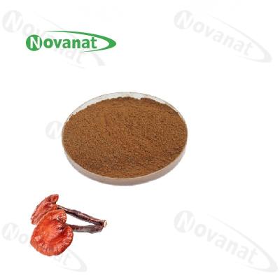 China Allergen Free Ganoderma Lucidum Extract Powder / Reishi Mushroom Extract 10%-50% Polysaccharides for sale