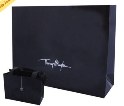 China luxury Custom Made Gift Printed Paper Shopping Bags with ribbon handle for sale