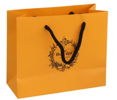 China Cheap Custom Printed Luxury retail paper shopping bag Supplier for sale