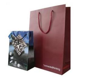 China Euro Paper Shopping Carrier Bags for sale