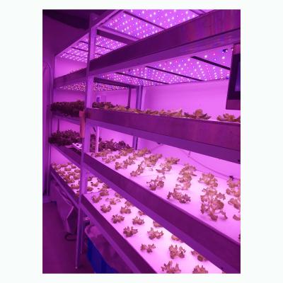 China Movable Microgreens Grow Rack Indoor Vertical Farm Environment Friendly for sale