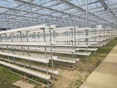 China 3.5m Height Multi Span Arch Plastic Film Greenhouse For Tomato for sale