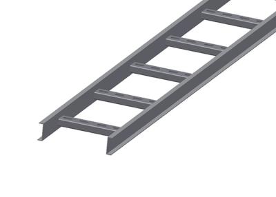 China Hot Dip Galvanized Ladder Cable Tray SUS316 Heavy Duty Cable Ladder for sale