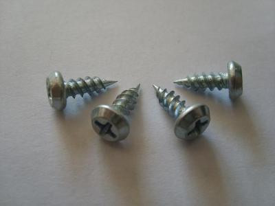 China Pan framing head  Self tapping screw for sale