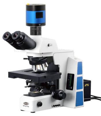 China Research Level 3D Semi-Auto Laboratory biological microscope for sale