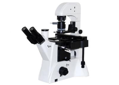 China Calidad WF10X/22mm 5W LED del microscopio del laboratorio de ciencia de Trinocular DIC en venta