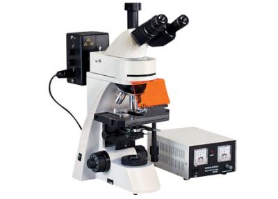 중국 Trinocular 지도된 형광 현미경 1000X Kohler 조명 UV 가벼운 현미경 판매용