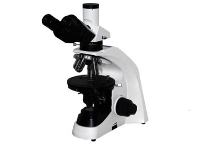 China Trinocular Educational Microscope Kit WF10X/20mm Student Microscope With Mechanical Stage for sale