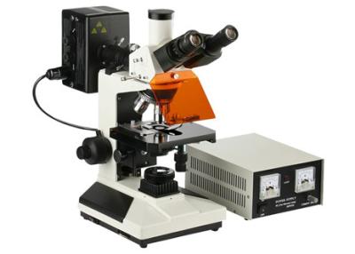China Biología del microscopio de luz del microscopio 4X 100X del laboratorio de ciencia de la Epi-fluorescencia en venta