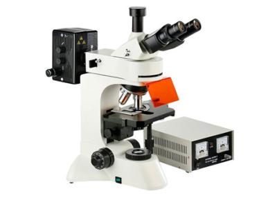 China Camera Infinity Epi Led Fluorescent Microscope WF10X Eyepiece Genetics Research for sale