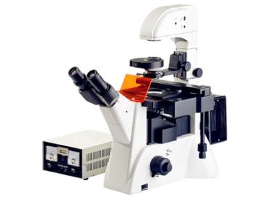 China Inverted Fluorescence Biology Lab Microscope Edu Science Microscope 1200x 20X for sale