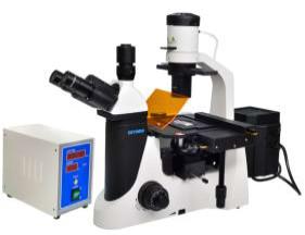 China Microscópio de fluorescência de Epi do microscópio do laboratório de biologia de 40X-1000X Trinocular à venda