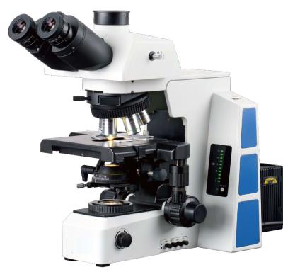China Microscópio biológico Para Celular 180 x 155mm de laboratório médico de Trinocular branco à venda