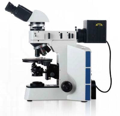 China Polarisationsmikroskop des PL10X22mm-Getriebe-Lichtmikroskop-20x 50x Digital zu verkaufen