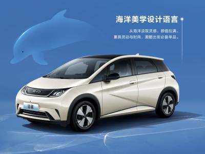 China Mini Byd Dolphin Chinese EV Car Mini Pure Electric 5 Seater for sale