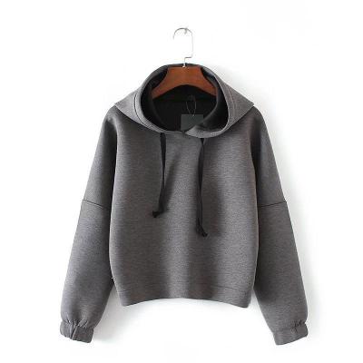 China Plaid Sport Slolid Grey Color cropped sweatshirt Hoodie Autumn for Women for sale