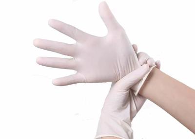 China Latex Disposable Medical Examination Gloves 24cm Powder Free for sale