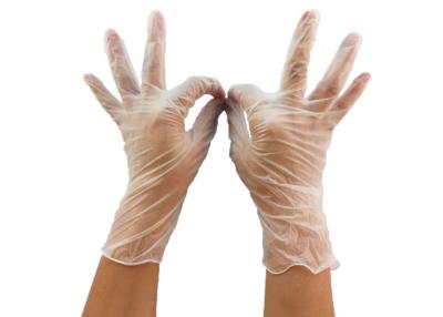 中国 240mm Disposable Hand PVC Gloves Vinyl For Working & Safety 販売のため